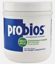 Probios poudre dispersible toutes espèces cheval équin chien chat vache supplément intestinal