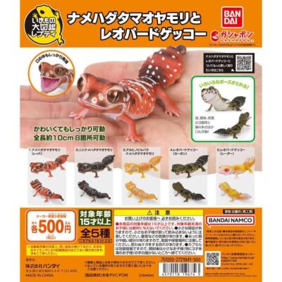 Bandai Gashapon Smooth knob-tailed & Leopard Gecko Figur Complete Set of 5