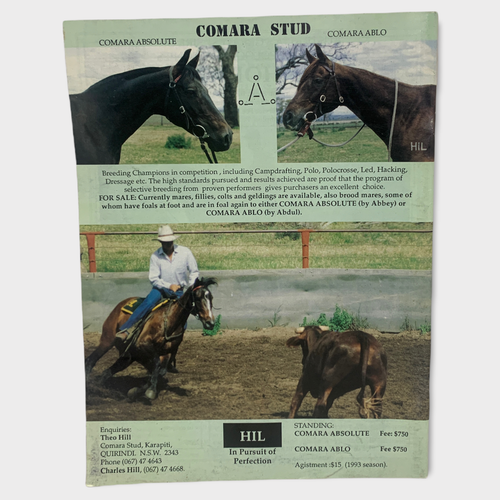 The Australian Stock Horse Journal Magazine - May/June 1994 - Vintage - Picture 2 of 2