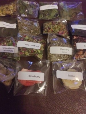 Land Hermit crab Food/Treat's 2x2 18+1