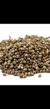 Hemp Seed 25kg raw - Carp Fishing Particle, Tench, Bream, Carp 2.52 per kilo