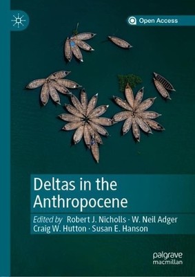Deltas in the Anthropocene - 9783030235161