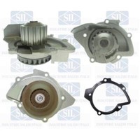 Saleri SIL Wasserpumpe FüR Ford Kuga II Galaxy Peugeot Expert Tepee 5008 508 SW