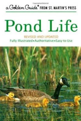 #ad #ad Pond Life A Golden Guide from St. Martin#x27;s Press Paperback GOOD $4.25