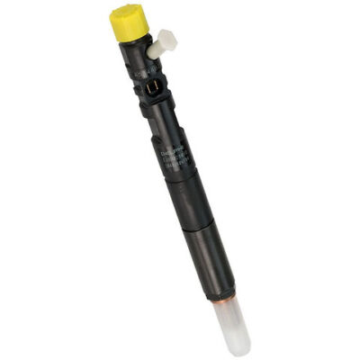Delphi Common Rail Fuel Injector fits Mahindra 2.5 CRDE Engine 28253155