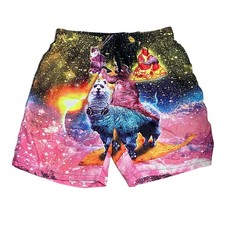 Mens Size 2XL Colorful Swim Trunks Graphic Print Mesh Lined Pockets