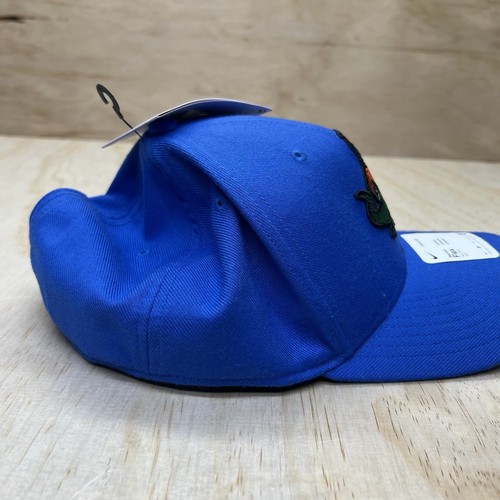 NEW M/L Florida Gators Nike Team Classic Logo 99 Swoosh Performance Flex Hat - Picture 5 of 9
