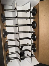 MANLEY 1.625 +600 11/32 Stem 11763-8 Racing Valve Exhaust Valve Set USED