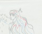 The Twelve Kingdoms Juuni Kokki Genga Douga Original Sketches Pierrot - Youko — photo 1