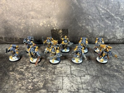 Warhammer 40k Space Wolves Grey Hunters 10x First Born Painted (#2458)
