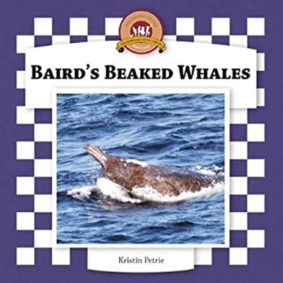 Baird's Beaked Whales Hardcover Kristin Petrie