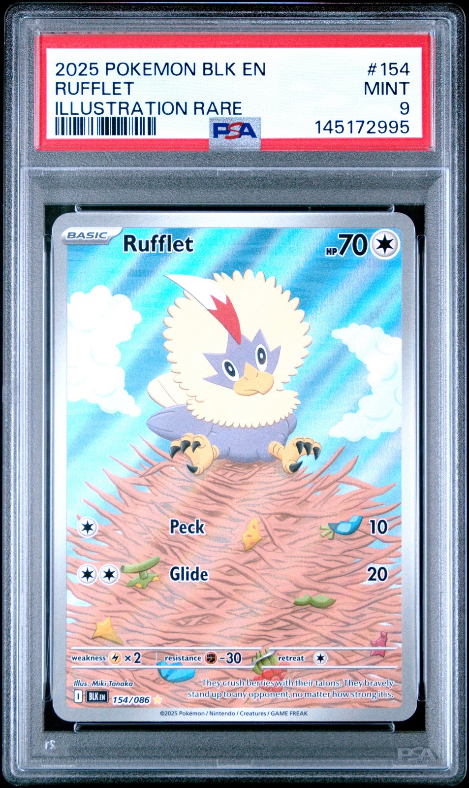 Rufflet #154