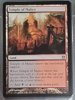 Magic: the Gathering - Temple of Malice (162/165) - Born of the Magic: the Gathering - Temple of Malice (162/165) - Born of the