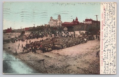 1906 Scene on Mississippi Levee Memphis Tennessee Cotton Bales Vintage Postcard