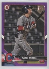 2018 Bowman Draft Purple 189/250 Raynel Delgado #BD-176 i5q