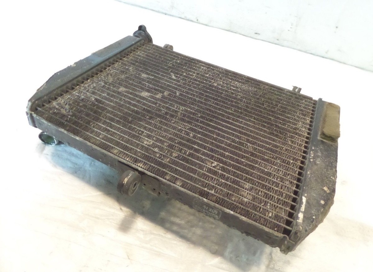 ミイ 1999-2002 Yamaha YZFR6 R6 Engine Motor Cooling Radiator 5EB-12461