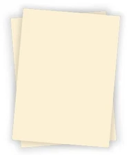 Accent Opaque Printer Paper, 12” x 18” 32lb Bond/80lb, 1,600 Sheets -4 Reams