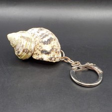 Sea Shell Keychain Conch Marine Beach Ocean Souvenir Key Ring