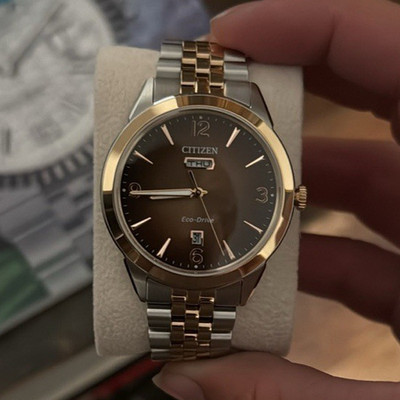 Citizen Eco-Drive Men's Two-Tone Stainless Steel Watch Brown Dial Day/Date