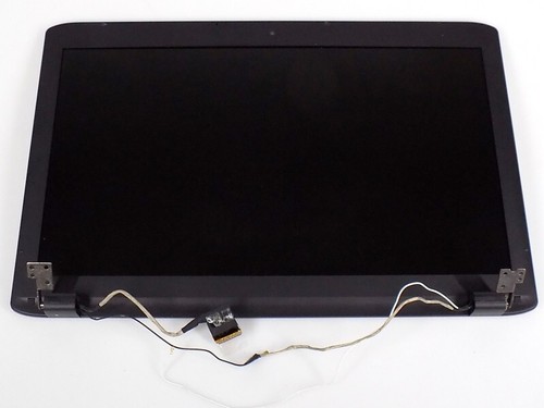 Medion Akoya P7631 Ersatzteil: FullHD LCD Display Bildschirm Screen Monitor