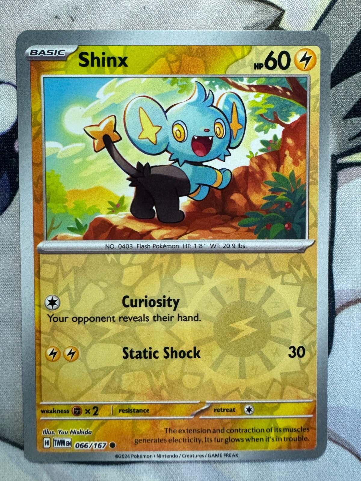 Shinx Reverse Holo English Pokemon TCG BKP45