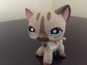 little pet shop cats