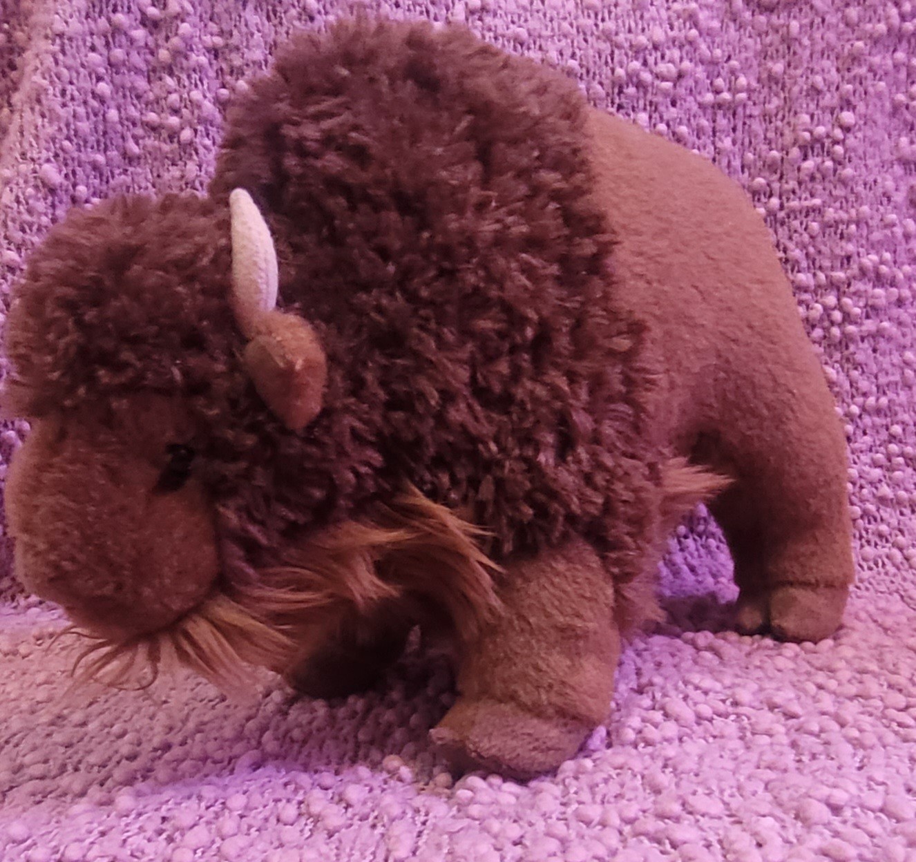  Plush BUFFALO American Bison Stuffed Animal - Douglas Cuddle Toys 