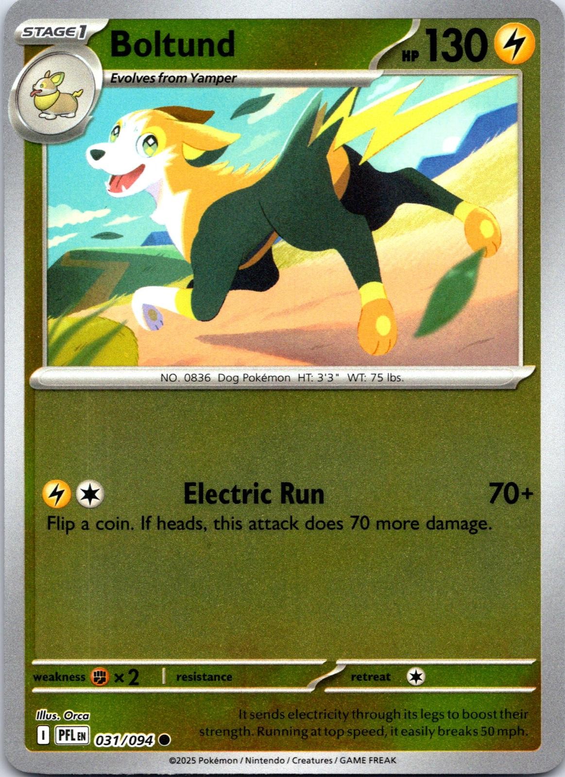 Boltund 031/094 Common Phantasmal Flames Pokemon Reverse Holo NM