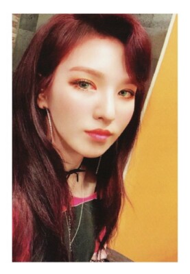 red velvet superstar トレカ　ウェンディ　Wendy WENDY RED VELVET PHOTOCARD COMPILATION - OFFICIAL ALBUM CARD KPOP