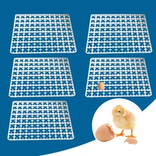 5 Pack Egg Incubator Trays for 88 Eggs - Durable Plastic Hatching Tool