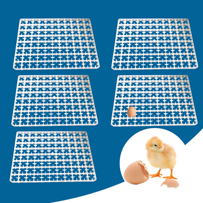 5*Egg Hatching Incubator Trays Chicken  Pheasant Duck 88 Egg Plastic Holder