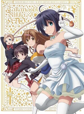 Takanashi Rikka Kai Chuunibyou Demo Koi ga Shitai Movie Blu-ray Book Japan