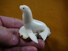 (TNE-SEAL-405-b) baby Seal sea lion TAGUA NUT palm figurine I love seals