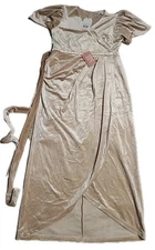 NWT IVY CITY CO Lillie Sz L Dress CHAMPAGNE VELVET Faux Belted 