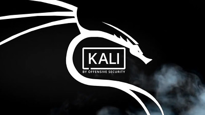 Kali Installation/Update Service (Kali Linux, Kali Nethunter)