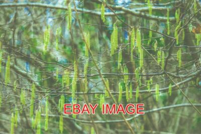 FOTOBAUM DINGE FOTOS ZUSAMMENFÜHREN 4 FOTOS ZUSAMMENGEFÜHRT. TIEFE &AMP; FARBE