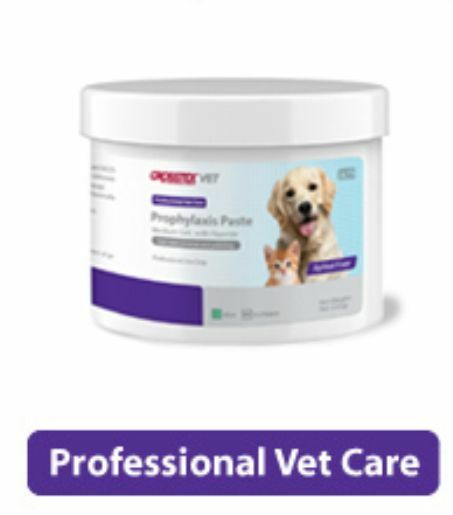 prophy paste for dogs