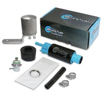 Quantum Intank Kraftstoffpumpe Pumpe, Filter, Reg & Filter FüR Harley-Davidson #