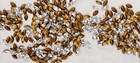 100 pieces Marquis Shaped 6x3 mm Crystal Gold Foil Back — photo 4