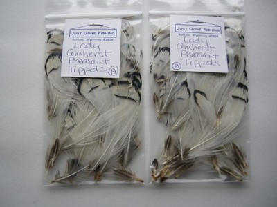 NEW! LADY AMHERST PHEASANT TIPPETS- 2 PKGS - 96 FEATHERS TOTAL: 1''-3 1/2'' LENGTH