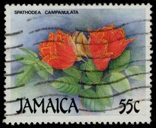 JAMAICA 707 (SG740) - African Tulip Tree 