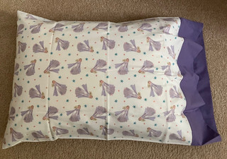 Frozen Princess pillowcase