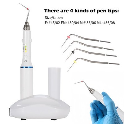 Gutta-Percha Obturationsstift 2S Heizung Doppelladung mit 4 Endo-Spitzen Dental