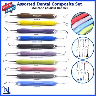 Set of 10 LM Arte Composite Filling & Restorative Instrument Silicone Handle
