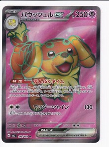 Pokemon TCG (JP) Dachsbun ex SR 119/102 sv7 Stellar Miracle NM