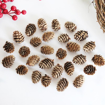 100 Pcs Pine Cones Natural Kiefernblumendekorationen Tannenzapfen Ornamente