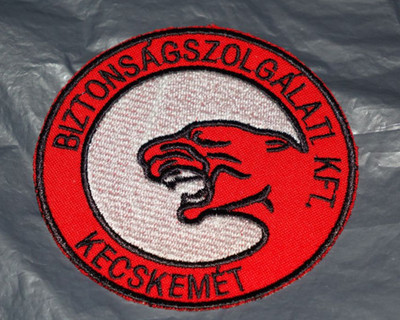 Patch Aufnäher Luftfahrt 1. Geschwader Puma Hungarian Air Force Kecskemet Ungarn
