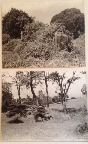Big Island Rural Scenes "Back to Nature" Photographs of Hawaii