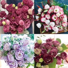 Lisianthus Flower Seeds Four Seasons Easy To Live Indoor Outdoor Flowering Seeds