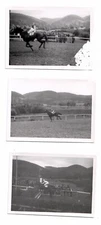 10774- 3 photos * rice sport * tournament * equestrian sports 40-50s